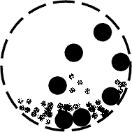 Ͳ�w��(n��i)���|(zh��)���\(y��n)�D(zhu��n)